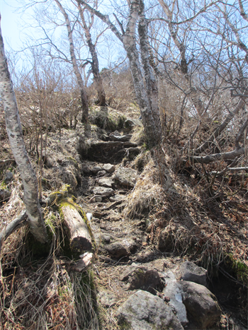 IMG_2041_R8854.png