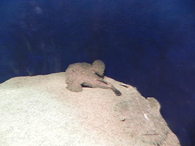 s-DSCN4021.jpg