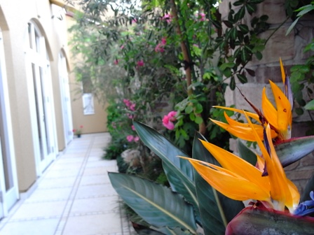 R1049660.jpg