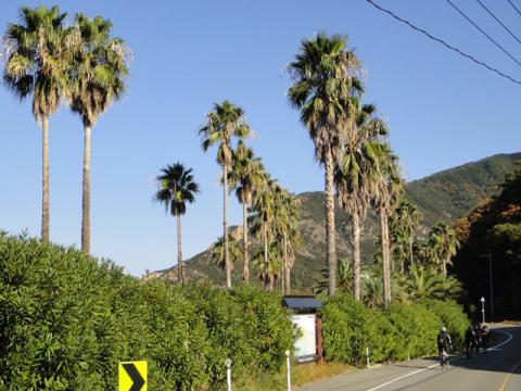 DSC05139_R.jpg