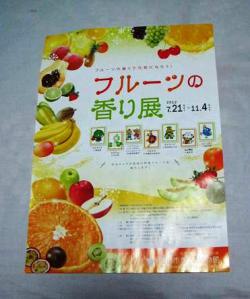 チラシ全体