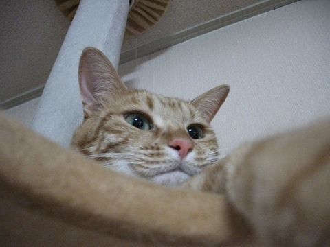 001.jpg