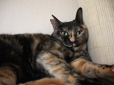 001_20120810141640.jpg