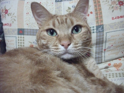001_20121231181541.jpg