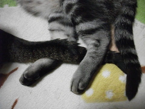 001_R_20120620134100.jpg