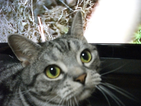 001_R_20120620134101.jpg