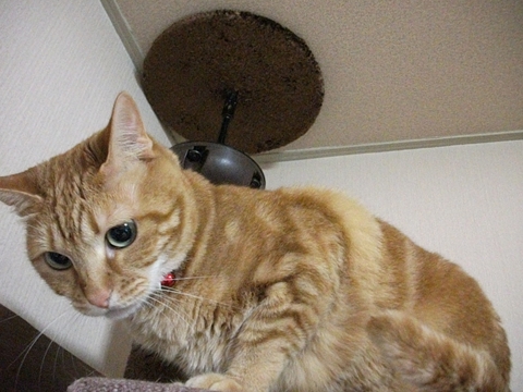001_R_20120701124837.jpg