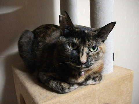 002_20121107162544.jpg