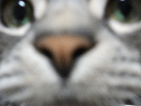 002_R_20120722135903.jpg