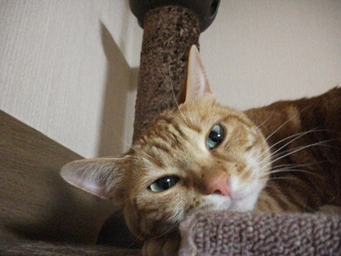 005_20120810141641.jpg