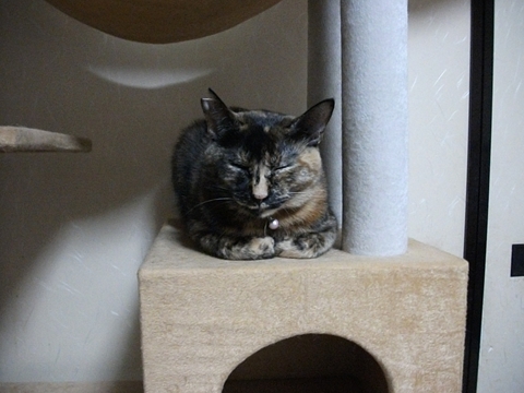 005_20121027091831.jpg