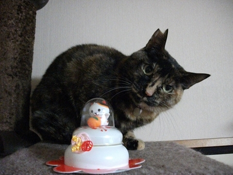 005_20130102230808.jpg