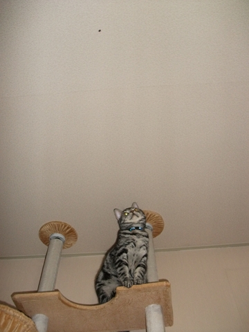 005_R_20120701124838.jpg