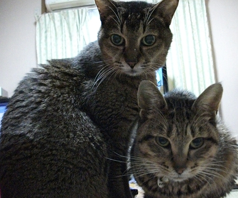 006_20121211122532.jpg