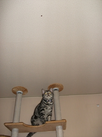 006_R_20120701124838.jpg