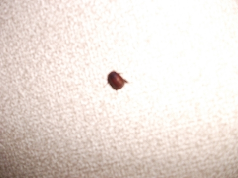 007_R_20120701124838.jpg