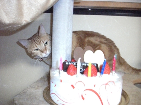 008_20120804232224.jpg