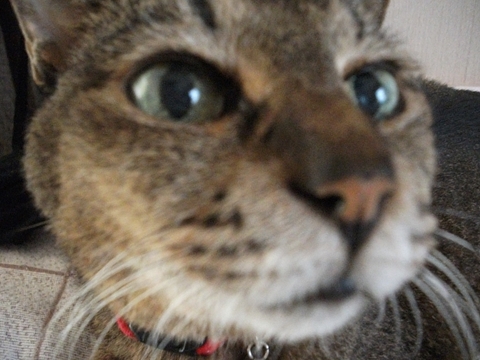 008_20120815153800.jpg