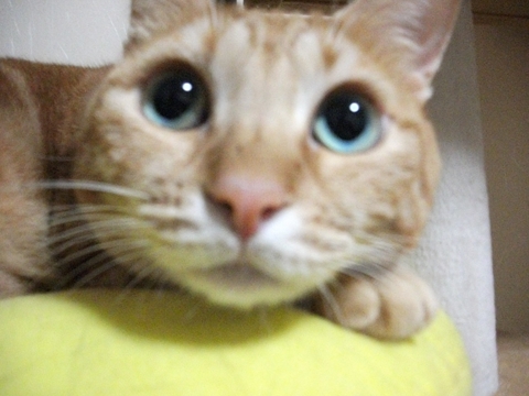 008_20121107162544.jpg