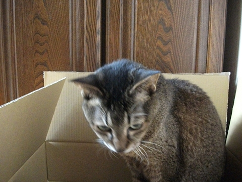 009_20120819162030.jpg