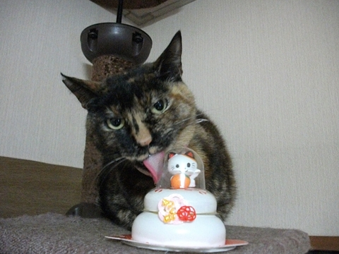 009_20130102230805.jpg