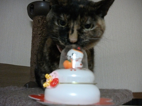010_20130102230805.jpg