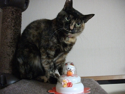 012_20130102230806.jpg