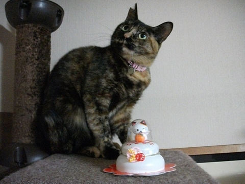 013_20130102230807.jpg