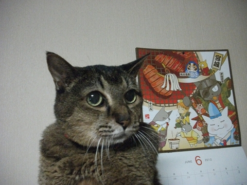 014_R_20120706230424.jpg