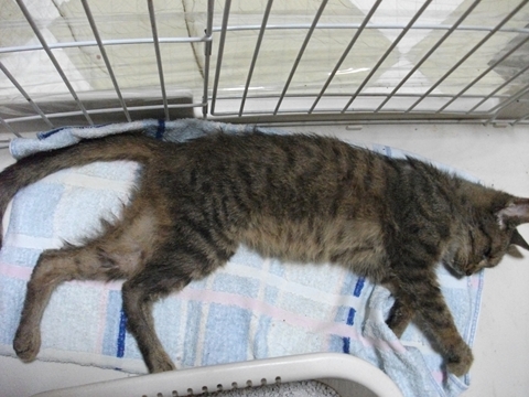 2010_0825cd0005.jpg