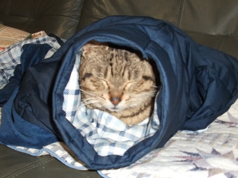 2011_0313cd0004.jpg