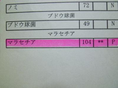 001_convert_20120909222500.jpg