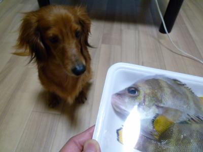 何だ?