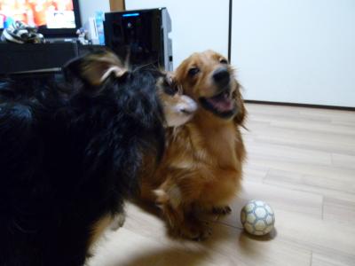 飛鳥&安寿