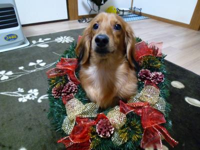 009_convert_20121219183212.jpg