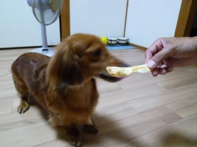 016_convert_20120810205902.jpg
