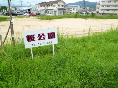 新・公園