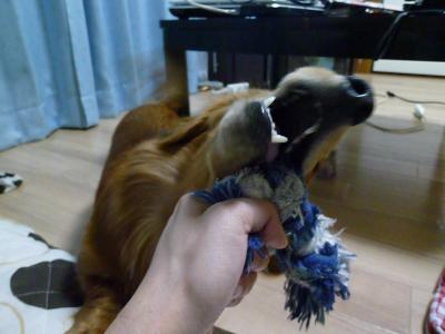 021_convert_20120530232844.jpg