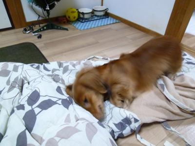022_convert_20121222204426.jpg