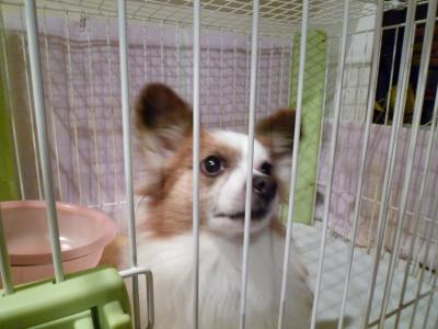 くぅ