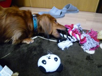 早くも破壊・・・