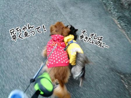 CA3TK537_convert_20141109180915.jpg