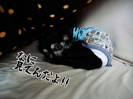 CAPI5DUK_convert_20141102202504.jpg
