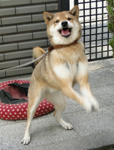 DSC09818.jpg