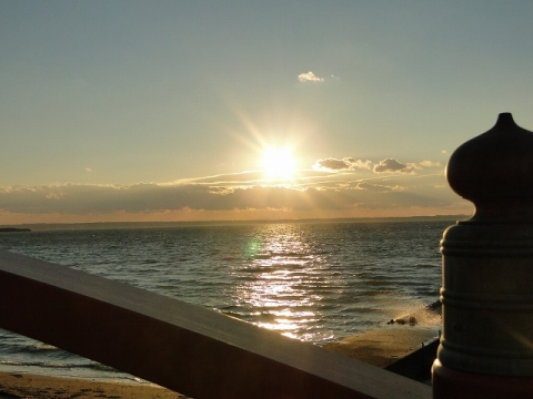 DSC09847.jpg
