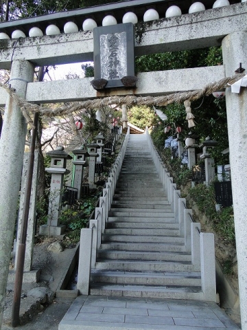 DSC09887.jpg