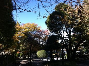 014_R.jpg