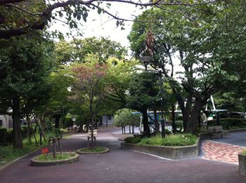 1155_R.jpg