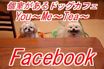 cafefacebook_20121029033822.jpg