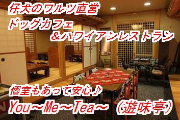 yumi353_4_20121029033732.jpg